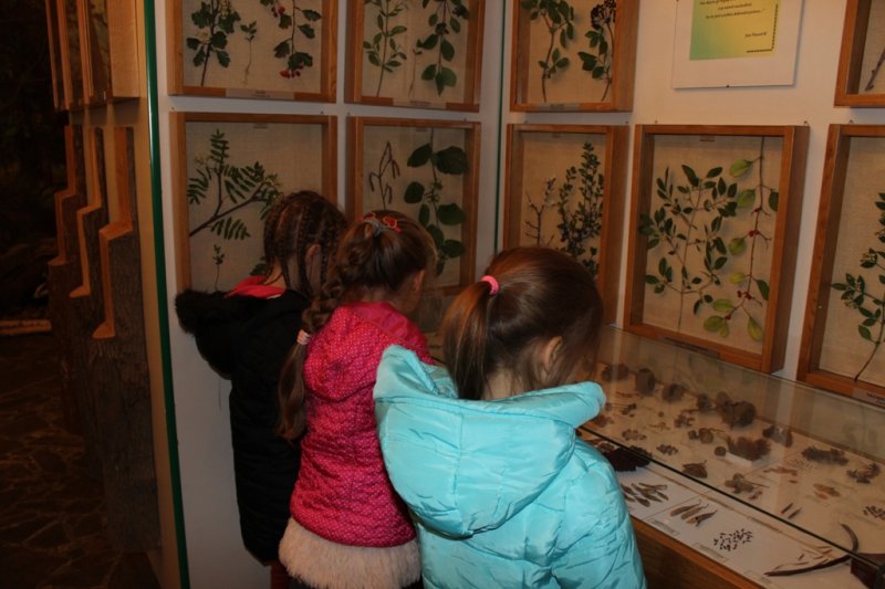 Wycieczka do Podzamcza